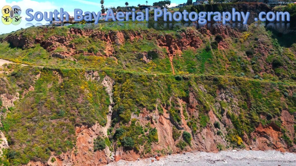4K Aerial - Palos Verdes Ca - with the Pelicans - SBAP - Wild-life - Serine